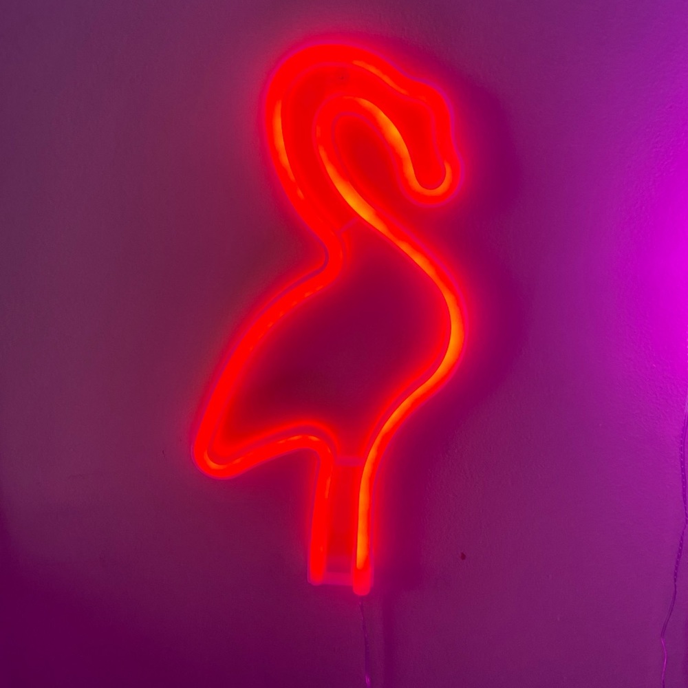 neon flamingo sign